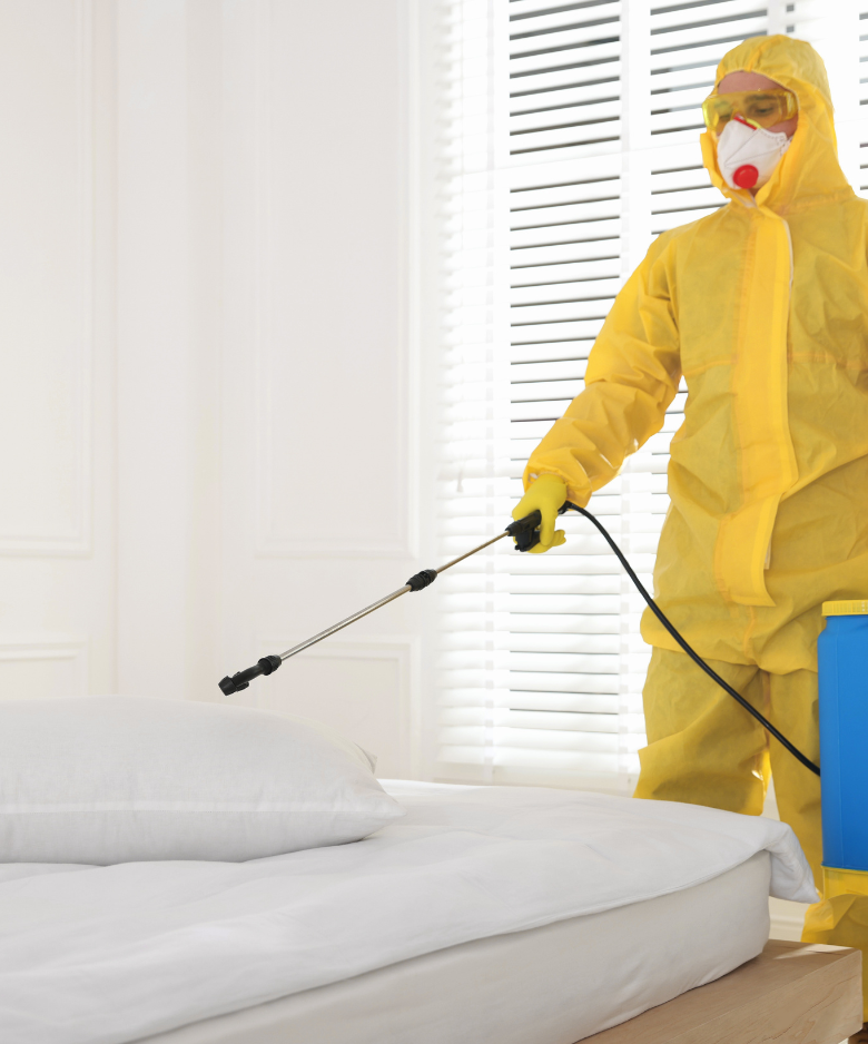 Professional Pest Control Team in Bedford Park